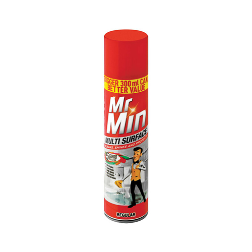 Mr Min Multi Surface Polish Regular 300ml